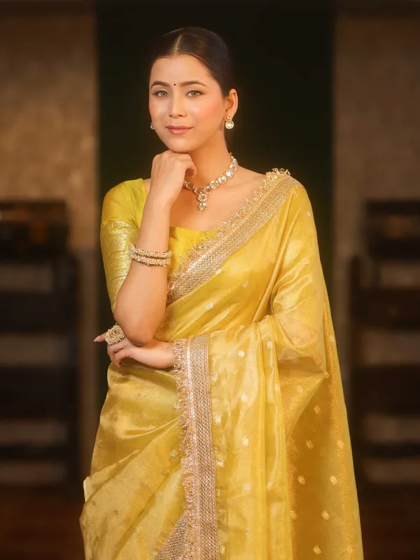 Banarasi_Tissue_All_over_zari_Booti_Saree_with_Designer_Sequence_Lace