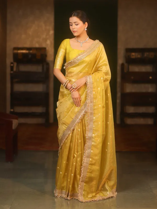 Banarasi_Tissue_All_over_zari_Booti_Saree_with_Designer_Sequence_Lace