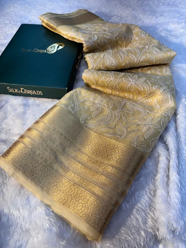 Never_Seen_Before_Organza_Shimmer_Silk_Chikankari_Saree