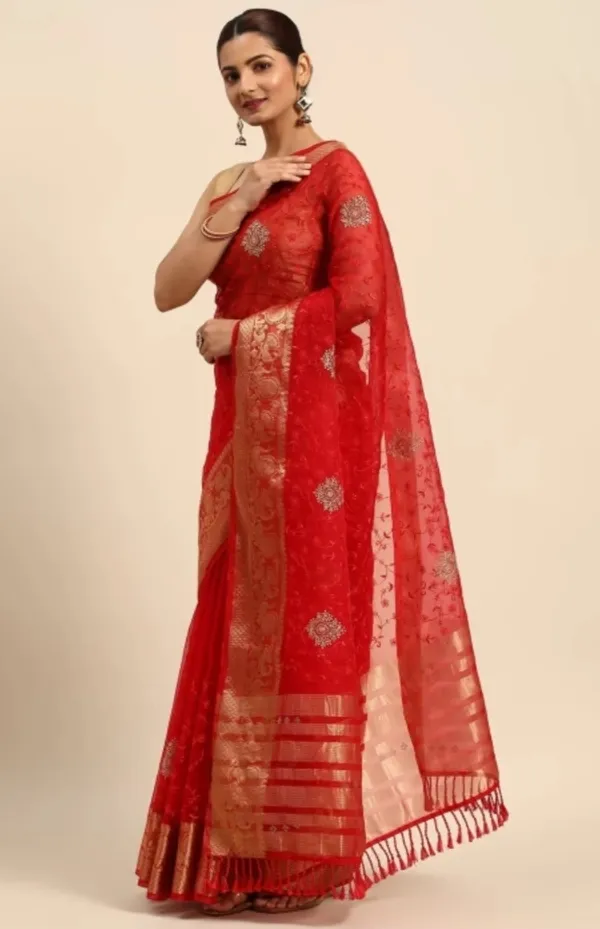 Organza_Silk_Resham_Embroidery_Saree_With_Tassels_With_Unstitched_Blouse_Piece