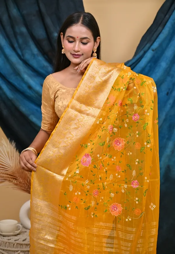 Organza_Silk_Resham_Embroidery_Saree_With_Sequence_With_Unstitched_Blouse_Piece