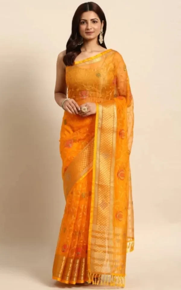 Organza_Silk_Resham_Embroidery_Saree_With_Tassels_With_Unstitched_Blouse_Piece