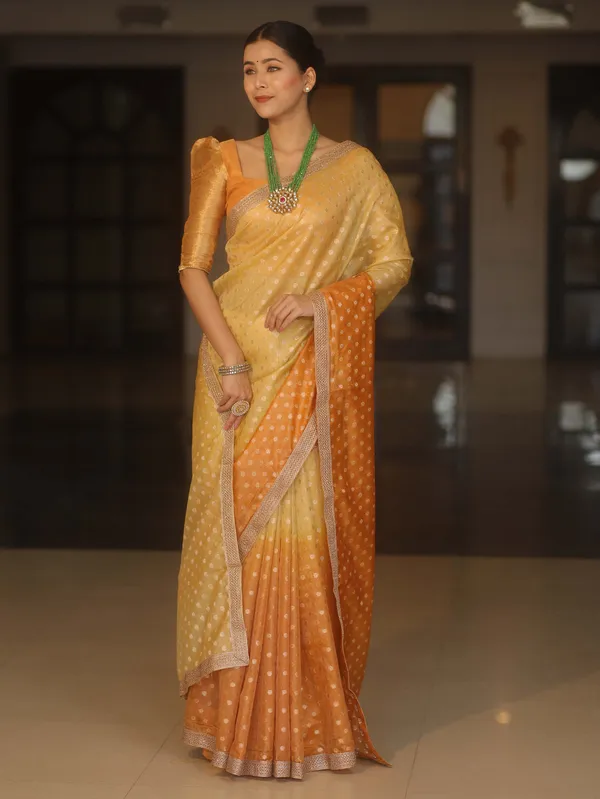 Banarasi_Tissue_All_over_zari_Booti_Saree_with_Shaded_Dye_Pattern