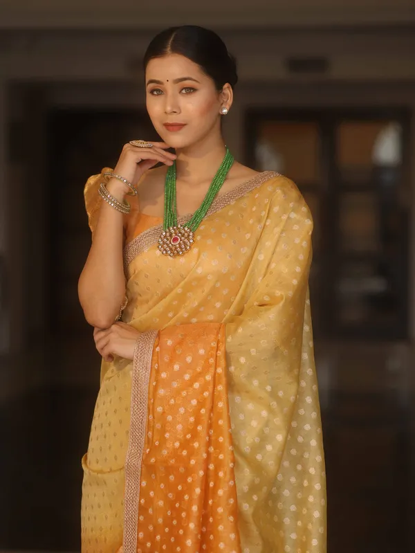 Banarasi_Tissue_All_over_zari_Booti_Saree_with_Shaded_Dye_Pattern