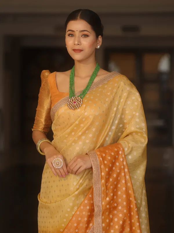 Banarasi_Tissue_All_over_zari_Booti_Saree_with_Shaded_Dye_Pattern