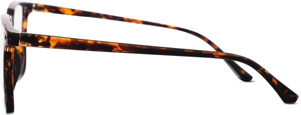 Clear_Plastic_Round_Sunglass_For_Men_&_Women
