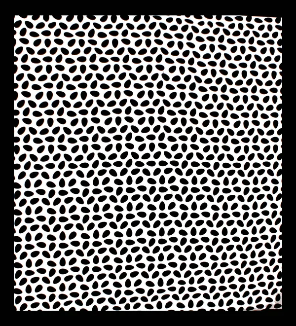 Rajasthani_Jaipuri_Traditional_Double_Bedsheet_with_2_Pillow_Cover_(Black_&_White)