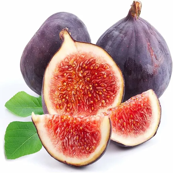Brown_Turkey_Anjeer_Fig_Fruit_(Air_Layering/Grafted)_Plants_&_Tree(1-2_Feet_Size)