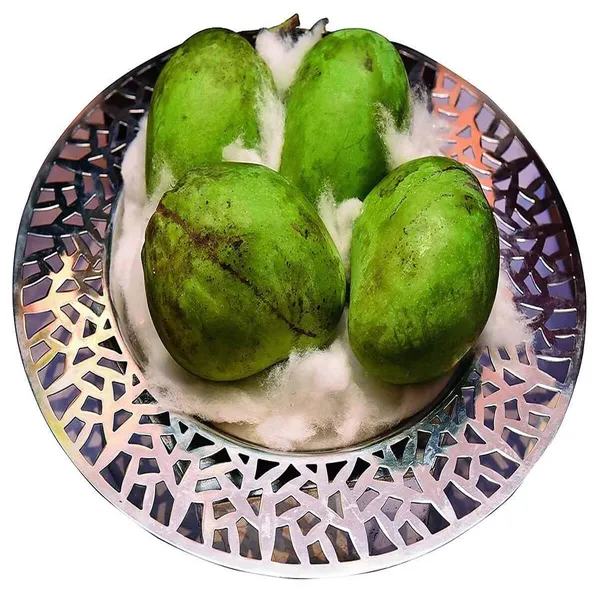 Kohitur_Mango_Grafted_Aam_Fruit_Plants_&_Tree_(1.5-3_Feet_Size)