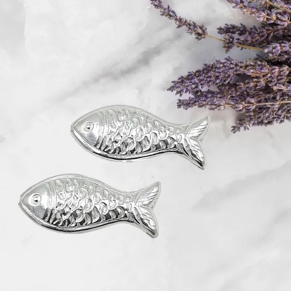 Silver_Fish_Remedy_Item_For_Astrological_Remedy