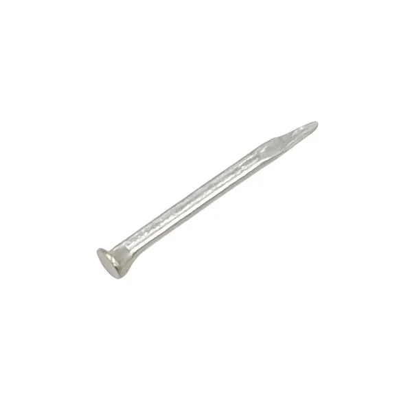 Silver_Nail_For_Pooja_Item