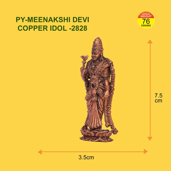 MEENAKSHI_DEVI_COPPER_IDOL