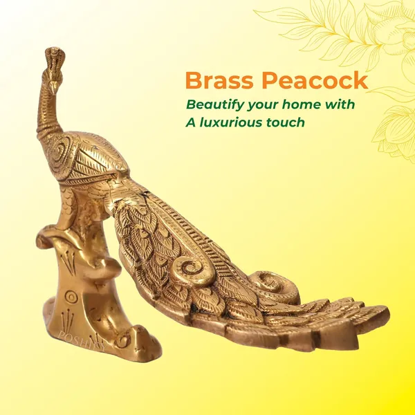 Golden_Brass_Elegant_&_Premium_Peacock_Showpiece_Count_Of_1