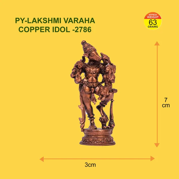 LAKSHMI_VARAHA_COPPER_IDOL