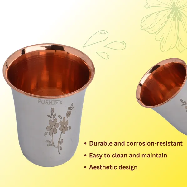 Pack_Of_2_Silver_Ss_&_Copper_Glass_Healthy_Hydration_And_Wellness