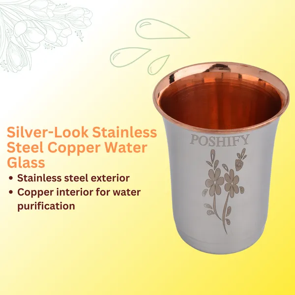 Pack_Of_2_Silver_Ss_&_Copper_Glass_Healthy_Hydration_And_Wellness
