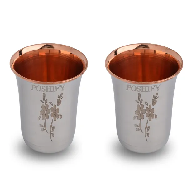 Pack_Of_2_Silver_Ss_&_Copper_Glass_Healthy_Hydration_And_Wellness