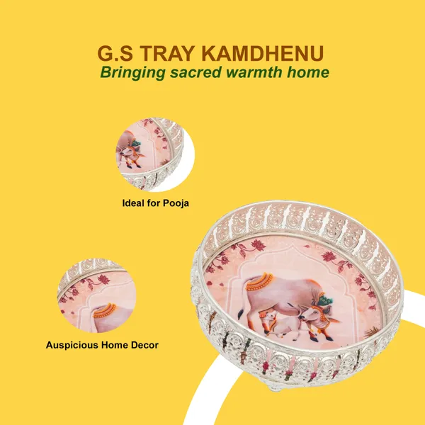 G.S_TRAY_KAMDHENU