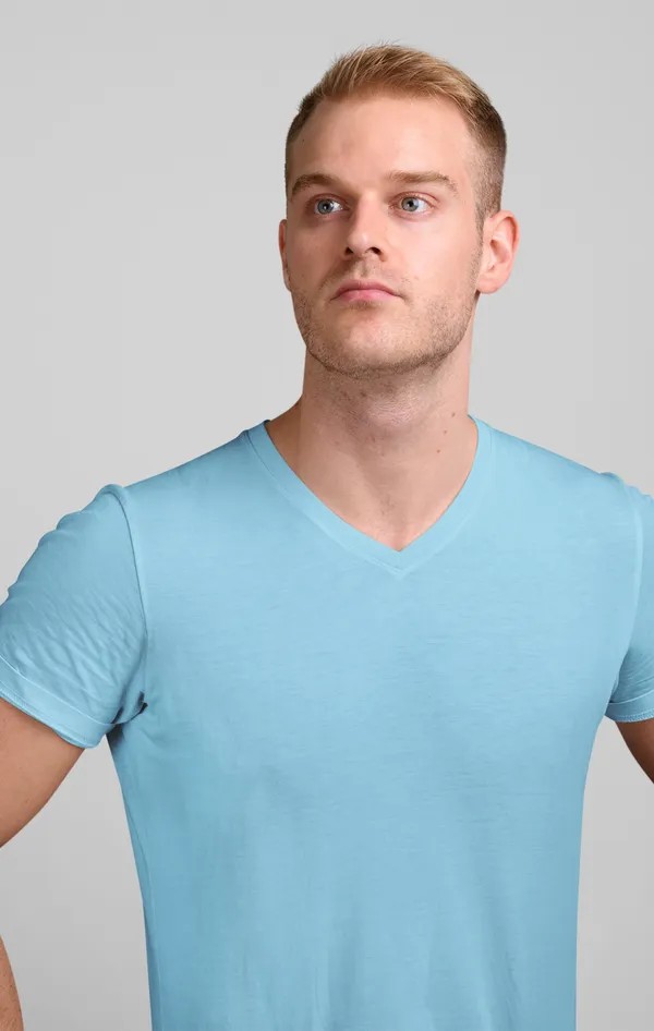 Sky_Blue_Cotton_Regular_Fit_T-Shirt_For_Men