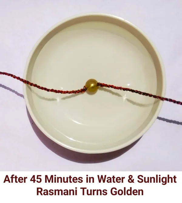 Original_Parad_Goli_|_Pure_8_Sanskar_Mercury_|_No_Black_Marks_|_Bringing_Spiritual_Benefits_&_Prosperity_|_10_Grams