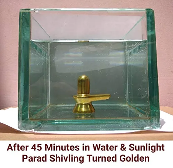 Original_Parad_Shivling_|_Pure_8_Sanskar_Mercury_|_No_Black_Marks_|_Bringing_Spiritual_Benefits_&_Prosperity_|_200_Grams