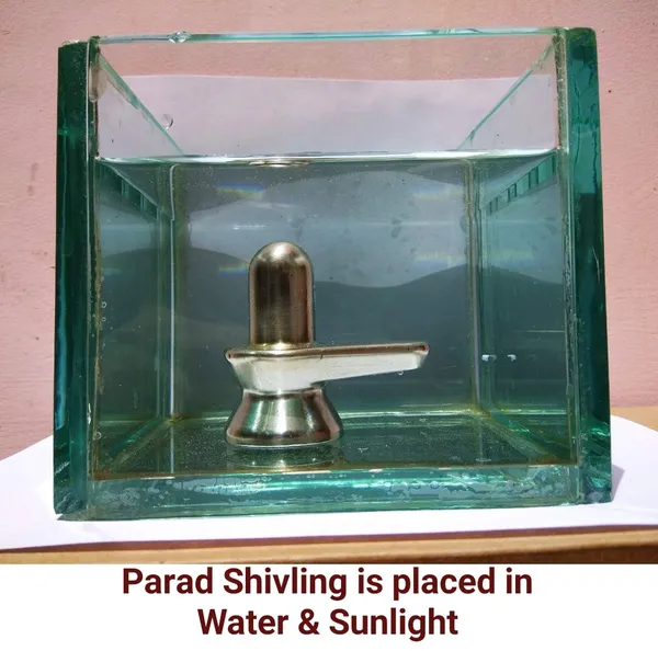 Original_Parad_Shivling_|_Pure_8_Sanskar_Mercury_|_No_Black_Marks_|_Bringing_Spiritual_Benefits_&_Prosperity_|_400_Grams