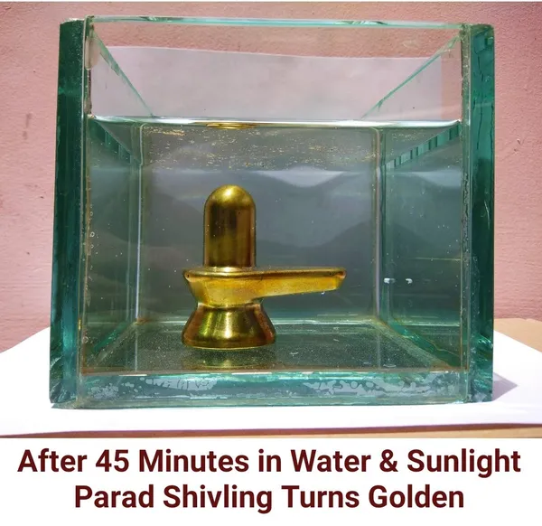 Original_Parad_Shivling_|_Pure_8_Sanskar_Mercury_|_No_Black_Marks_|_Bringing_Spiritual_Benefits_&_Prosperity_|_400_Grams