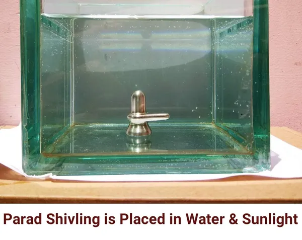 Original_Parad_Shivling_|_Pure_8_Sanskar_Mercury_|_No_Black_Marks_|_Bringing_Spiritual_Benefits_&_Prosperity_|_50_Gram