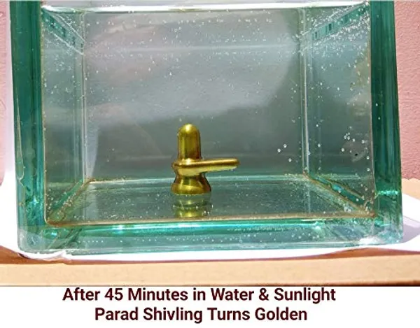 Original_Parad_Shivling_|_Pure_8_Sanskar_Mercury_|_No_Black_Marks_|_Bringing_Spiritual_Benefits_&_Prosperity_|_50_Gram