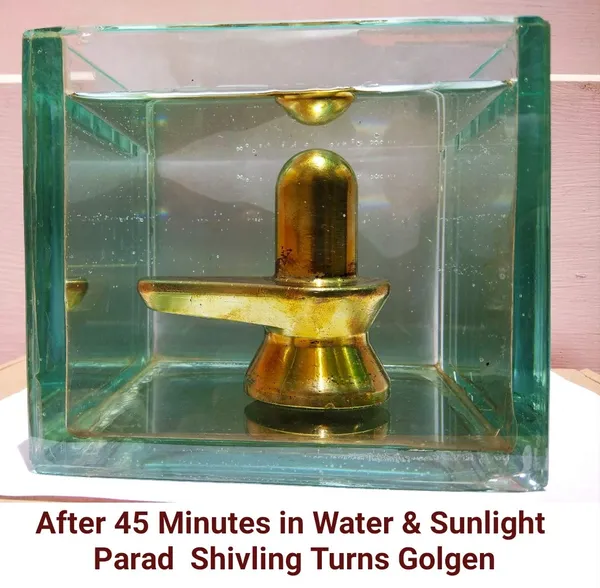Original_Parad_Shivling_|_Pure_8_Sanskar_Mercury_|_No_Black_Marks_|_Bringing_Spiritual_Benefits_&_Prosperity_|_1250_Grams