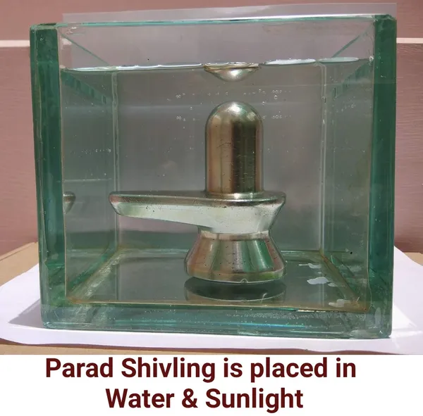 Original_Parad_Shivling_|_Pure_8_Sanskar_Mercury_|_No_Black_Marks_|_Bringing_Spiritual_Benefits_&_Prosperity_|_1000_Grams