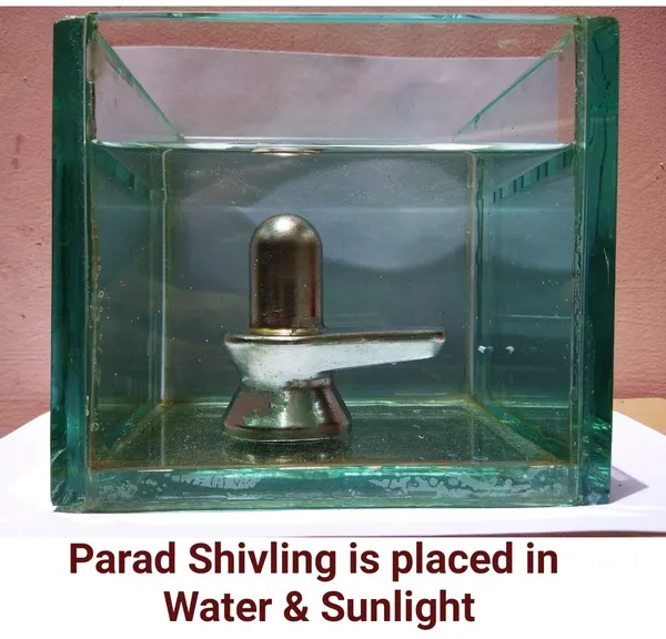 Original_Parad_Shivling_|_Pure_8_Sanskar_Mercury_|_No_Black_Marks_|_Bringing_Spiritual_Benefits_&_Prosperity_|_500_Grams