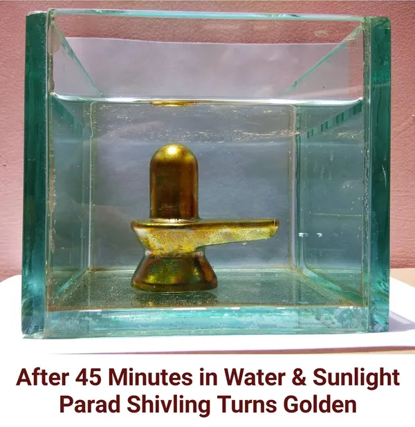 Original_Parad_Shivling_|_Pure_8_Sanskar_Mercury_|_No_Black_Marks_|_Bringing_Spiritual_Benefits_&_Prosperity_|_500_Grams