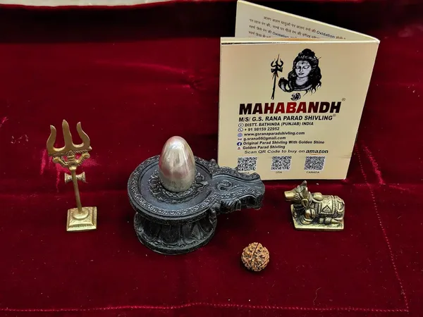 Jyotirling_Sawroop_Original_Parad_Shivling_|_Pure_8_Sanskar_Mercury_|_No_Black_Marks_|_Bringing_Spiritual_Benefits_&_Prosperity_|_200_Grams