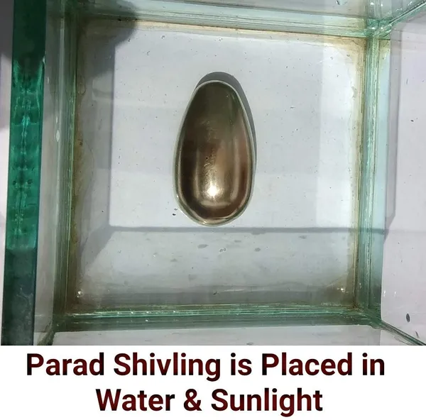 Jyotirling_Sawroop_Original_Parad_Shivling_|_Pure_8_Sanskar_Mercury_|_No_Black_Marks_|_Bringing_Spiritual_Benefits_&_Prosperity_|_300_Grams