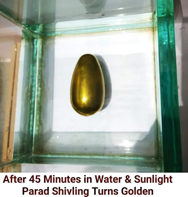 Jyotirling_Sawroop_Original_Parad_Shivling_|_Pure_8_Sanskar_Mercury_|_No_Black_Marks_|_Bringing_Spiritual_Benefits_&_Prosperity_|_300_Grams