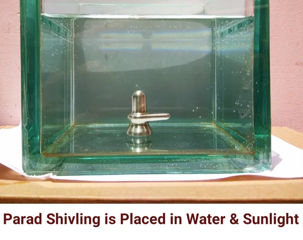 Original_Parad_Shivling_|_Pure_8_Sanskar_Mercury_|_No_Black_Marks_|_Bringing_Spiritual_Benefits_&_Prosperity_|_100_Gram