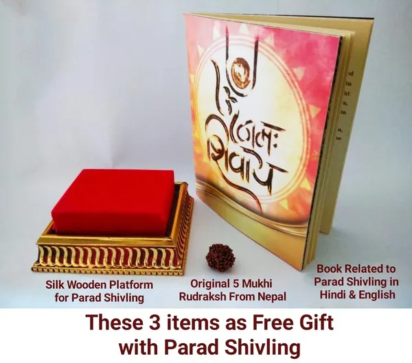Original_Parad_Shivling_|_Pure_8_Sanskar_Mercury_|_No_Black_Marks_|_Bringing_Spiritual_Benefits_&_Prosperity_|_100_Gram
