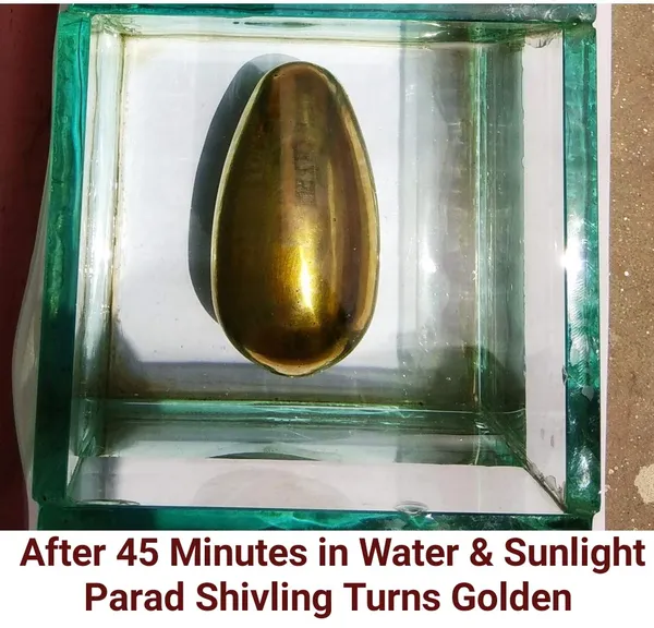 Jyotirling_Sawroop_Original_Parad_Shivling_|_Pure_8_Sanskar_Mercury_|_No_Black_Marks_|_Bringing_Spiritual_Benefits_&_Prosperity_|_1250_Grams