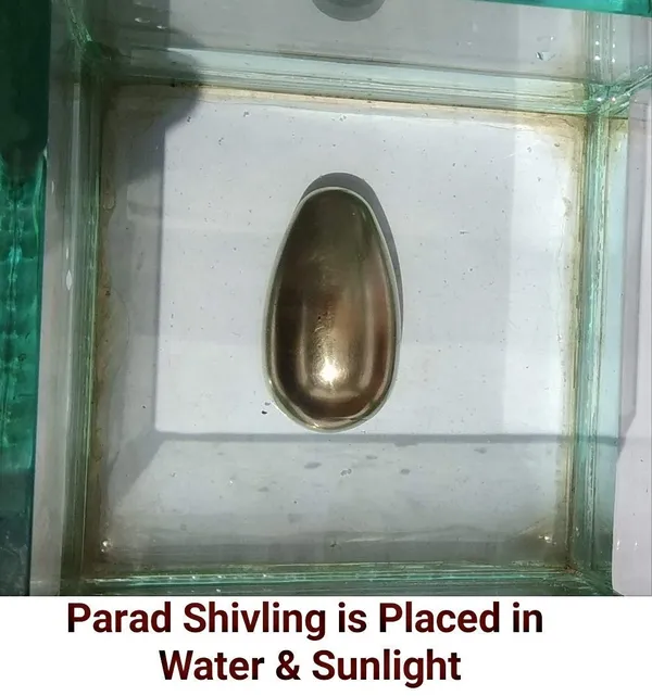 Jyotirling_Sawroop_Original_Parad_Shivling_|_Pure_8_Sanskar_Mercury_|_No_Black_Marks_|_Bringing_Spiritual_Benefits_&_Prosperity_|_150_Grams