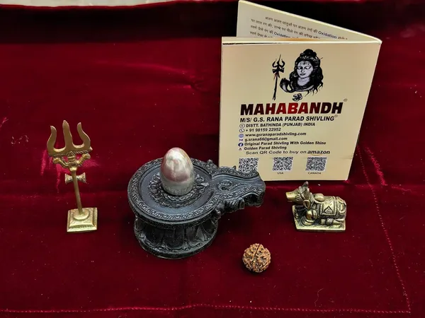 Jyotirling_Sawroop_Original_Parad_Shivling_|_Pure_8_Sanskar_Mercury_|_No_Black_Marks_|_Bringing_Spiritual_Benefits_&_Prosperity_|_150_Grams