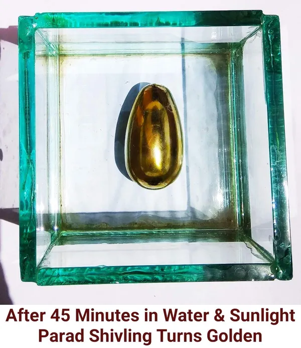 Jyotirling_Sawroop_Original_Parad_Shivling_|_Pure_8_Sanskar_Mercury_|_No_Black_Marks_|_Bringing_Spiritual_Benefits_&_Prosperity_|_500_Grams