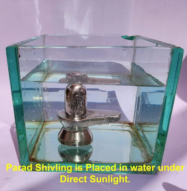 Original_Parad_Shivling_|_Pure_8_Sanskar_Mercury_|_No_Black_Marks_|_Bringing_Spiritual_Benefits_&_Prosperity_|_525_Grams