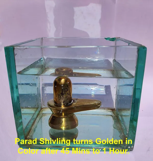 Original_Parad_Shivling_|_Pure_8_Sanskar_Mercury_|_No_Black_Marks_|_Bringing_Spiritual_Benefits_&_Prosperity_|_525_Grams