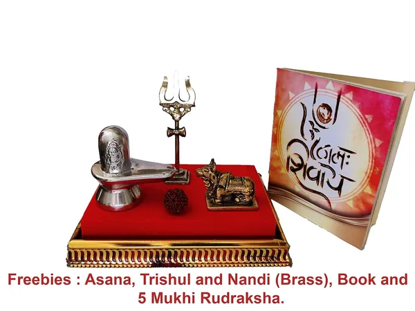 Original_Parad_Shivling_|_Pure_8_Sanskar_Mercury_|_No_Black_Marks_|_Bringing_Spiritual_Benefits_&_Prosperity_|_525_Grams