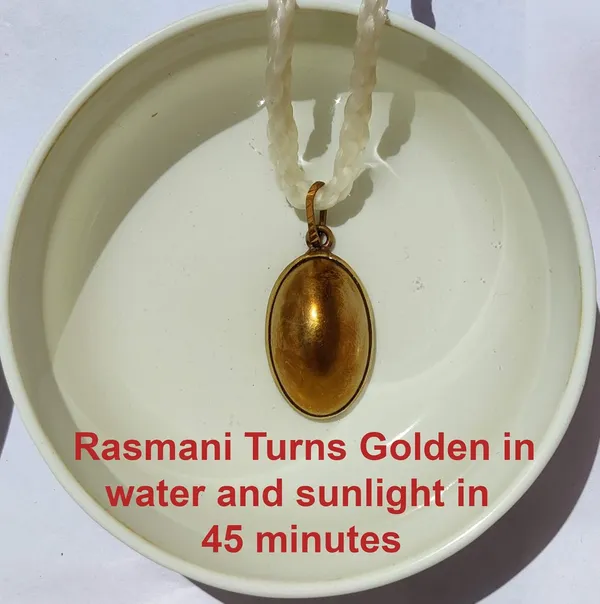 Varitakar_Parad_Gutika_|_Pure_8_Sanskar_Mercury_|_No_Black_Marks_|_Bringing_Spiritual_Benefits_&_Prosperity_|_50_Grams