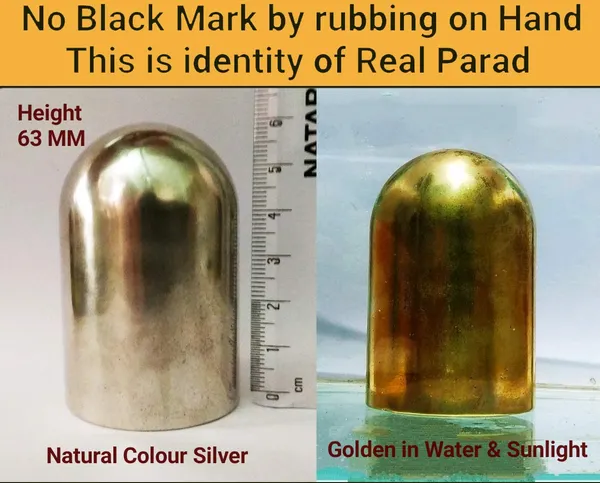 Vartulakar_Original_Parad_Shivling_|_Pure_8_Sanskar_Mercury_|_No_Black_Marks_|_Bringing_Spiritual_Benefits_&_Prosperity_|_800_Grams