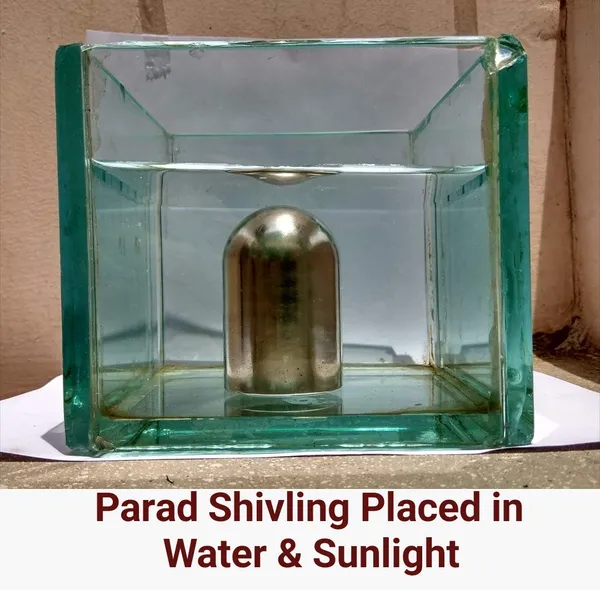Vartulakar_Original_Parad_Shivling_|_Pure_8_Sanskar_Mercury_|_No_Black_Marks_|_Bringing_Spiritual_Benefits_&_Prosperity_|_800_Grams