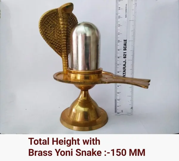 Vartulakar_Original_Parad_Shivling_|_Pure_8_Sanskar_Mercury_|_No_Black_Marks_|_Bringing_Spiritual_Benefits_&_Prosperity_|_800_Grams