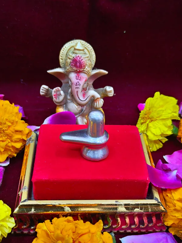 Original_Parad_Shivling_|_Pure_8_Sanskar_Mercury_|_No_Black_Marks_|_Bringing_Spiritual_Benefits_&_Prosperity_|_50_Gram